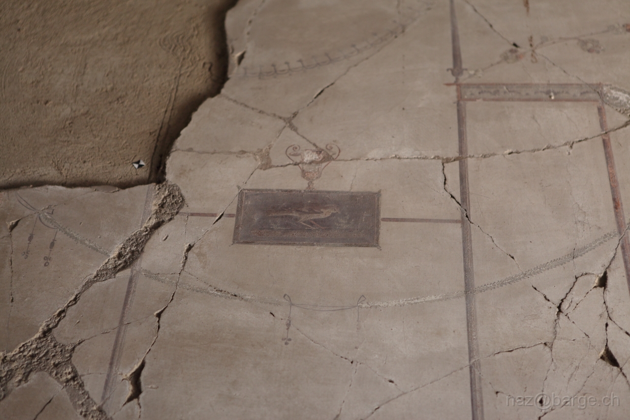 EOS 5D Mark II04_05_20121729.JPG